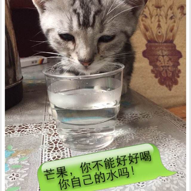 博尔顿大学硕士毕业证